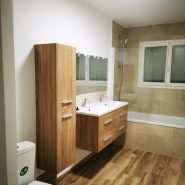 renovation lyon