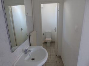 avant rénovation wc