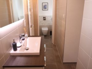 renovation wc